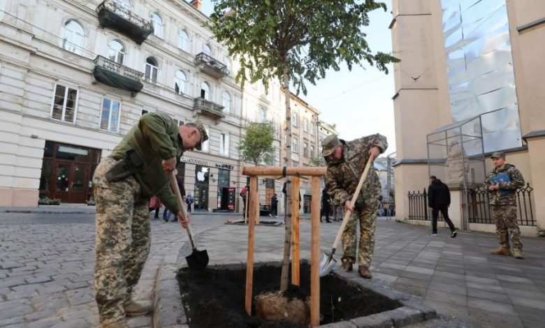 На площі Катедральній висадили нові дерева 1 556 900x600