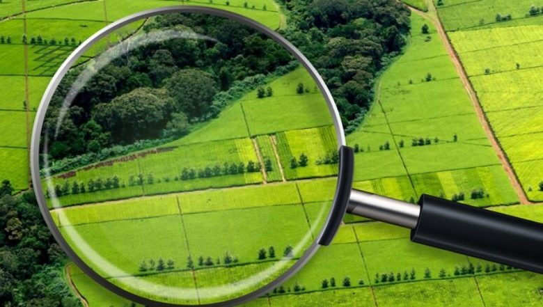 Підкамінській об’єднаній територіальній громаді повернули землю вартістю 28 млн грн 1 455