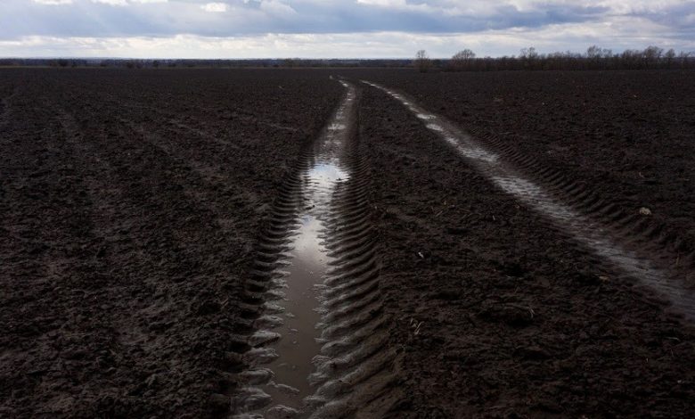 На Львівщині підприємство оштрафують на 300 тис. грн за забруднення землі 1 0B077D2D 30FB 4A55 AC1A E4A118D9753B