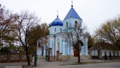 p1200502