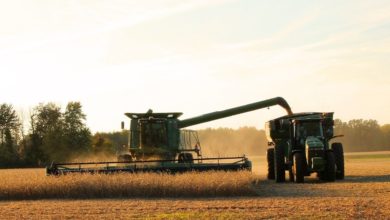 harvest 1825170 1280