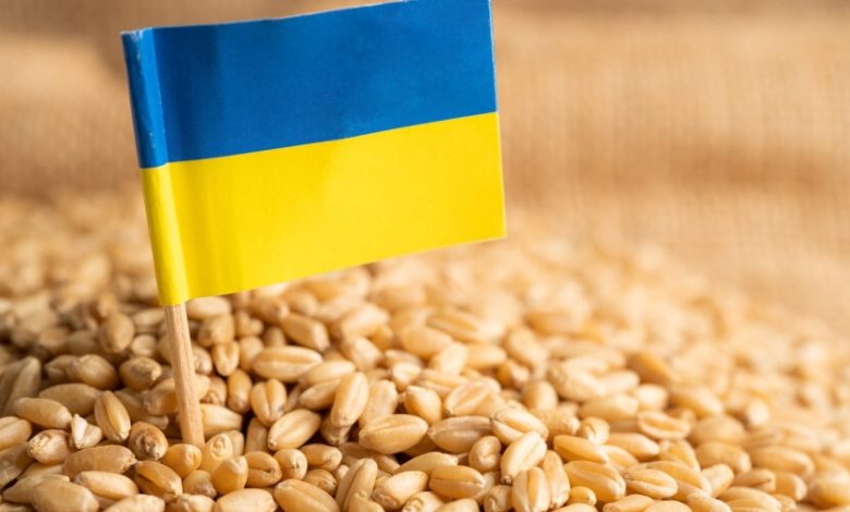 Україна пропонує Туреччині відновити «зерновий коридор» без РФ 1 grain ua