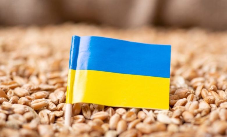 Україна пропонує Польщі, Угорщині й Словаччині компроміс щодо імпорту зерна 1 image 7 900x602